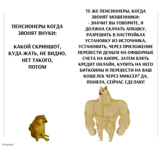 Вирусные мемы