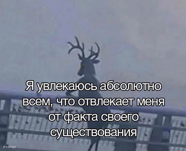 Вирусные мемы