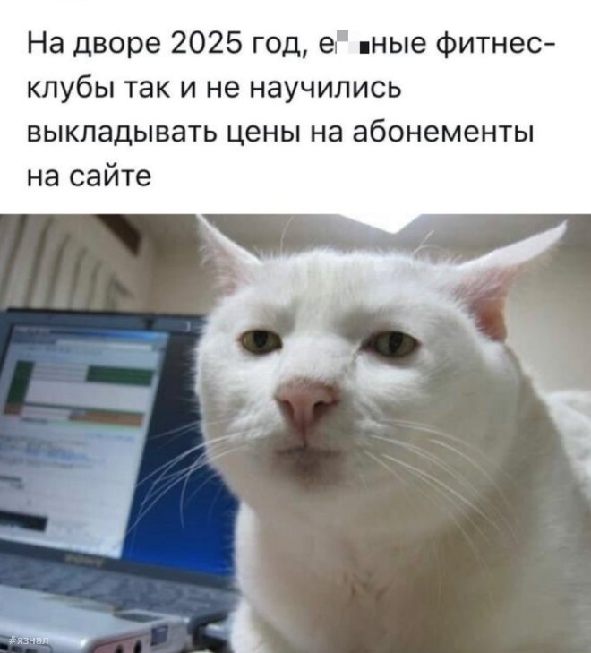 Вирусные мемы