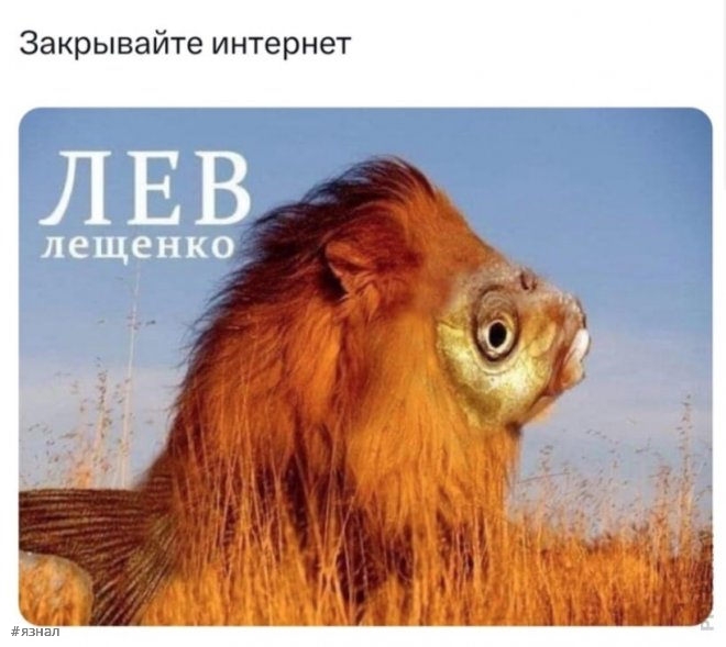 Мемы ЯЗнал