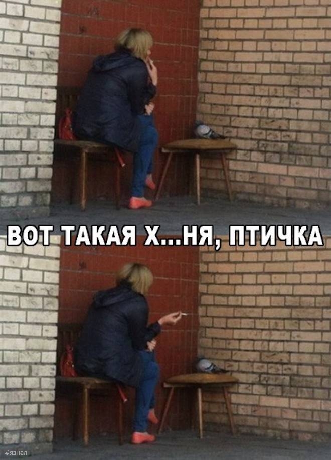 Топовые мемы