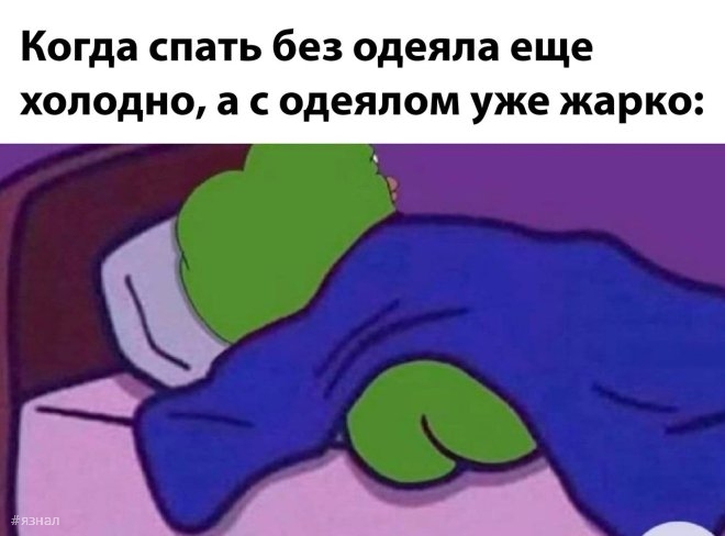 Топовые мемы