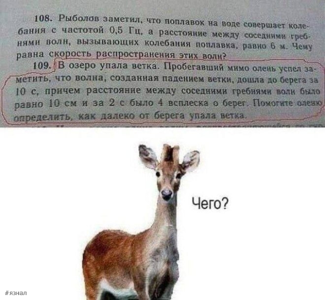 Топовые мемы