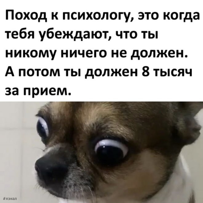 Топовые мемы