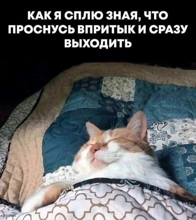 Топовые мемы