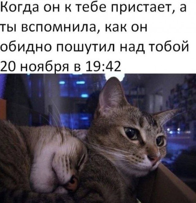 Мемы