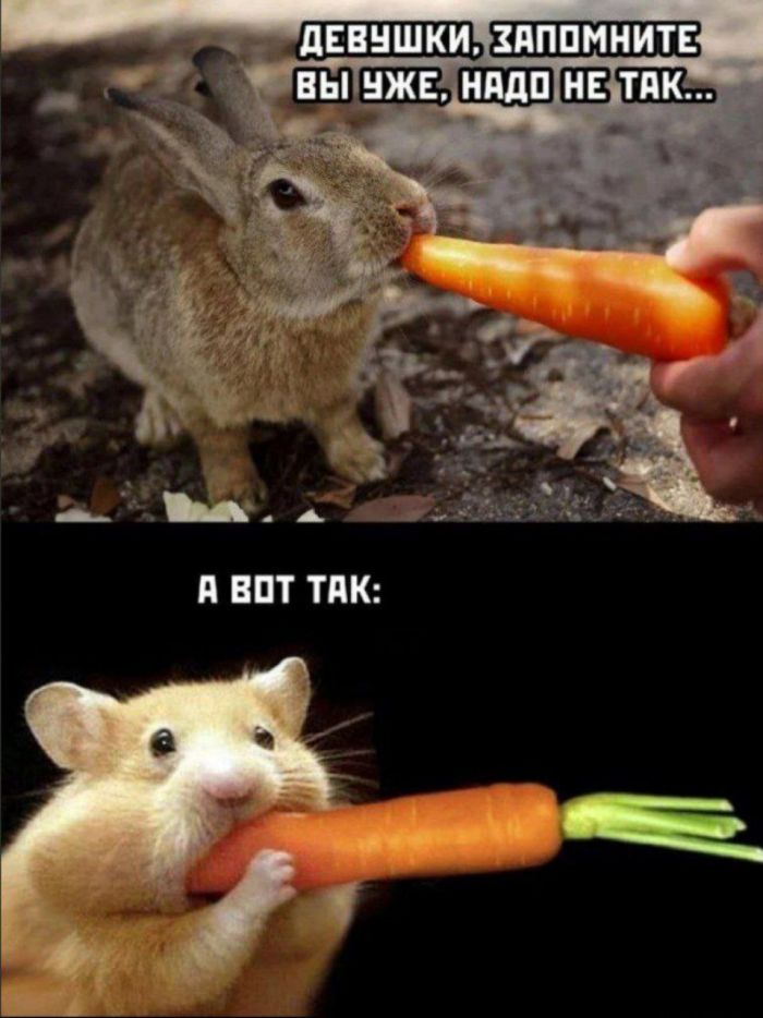 Пошлый юмор