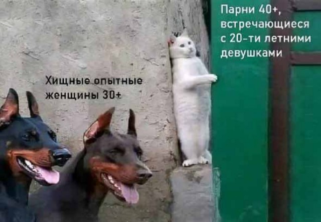 Смешной прикол