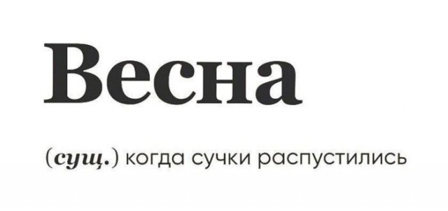 Смешные картинки с надписями