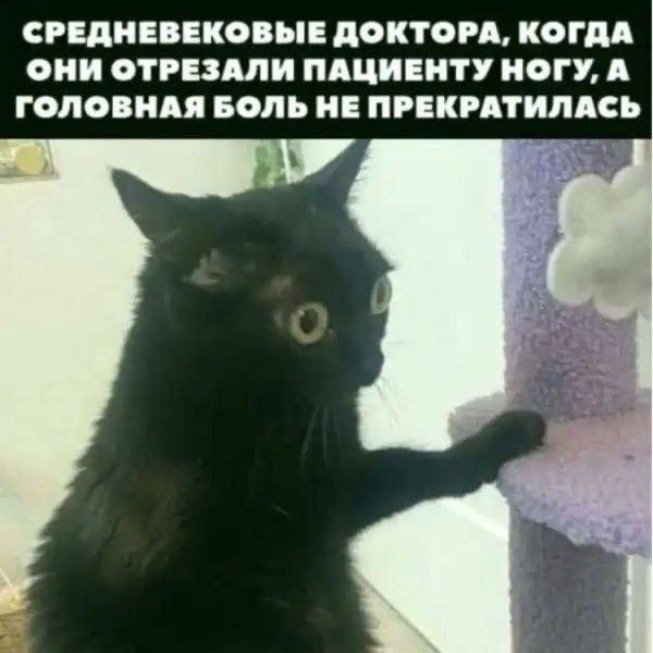 Смешной прикол