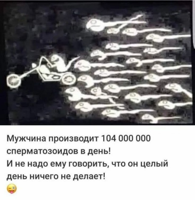 Смешные картинки с надписями