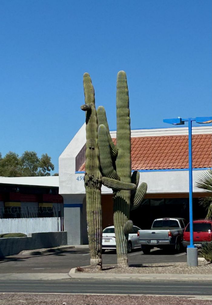 Отборный юмор