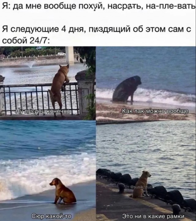 Приколы
