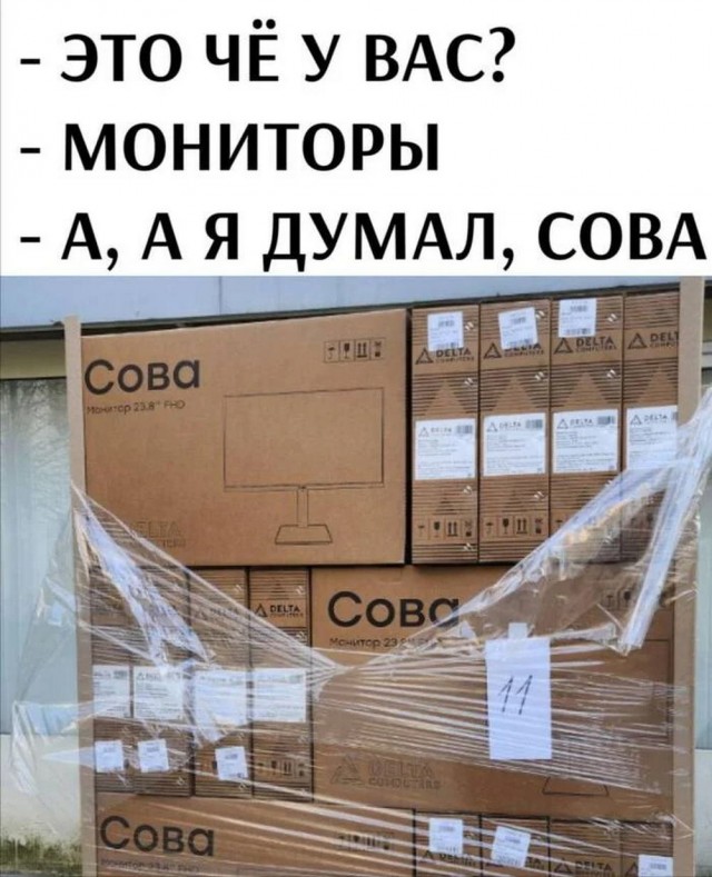 Смешные картинки с надписями