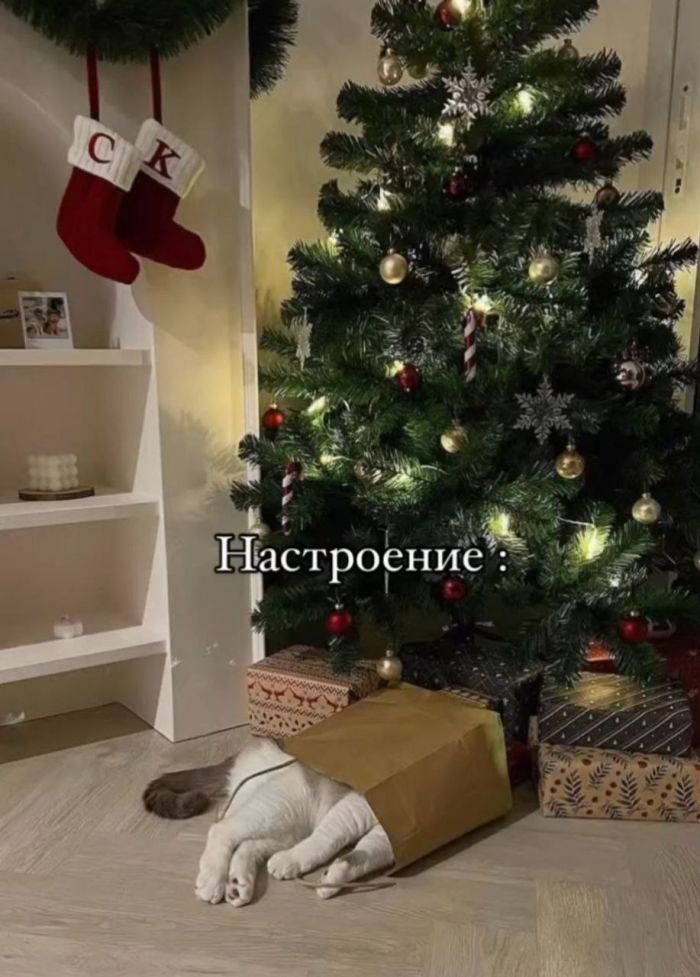 Мемы