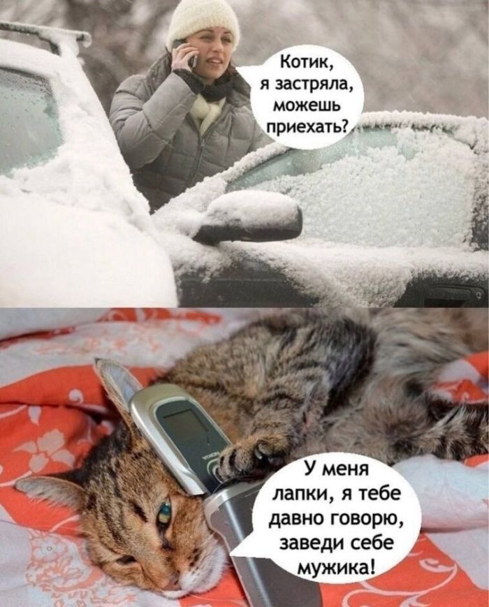 Мемы