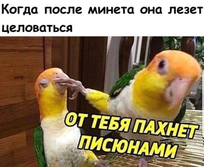 Пошлый юмор