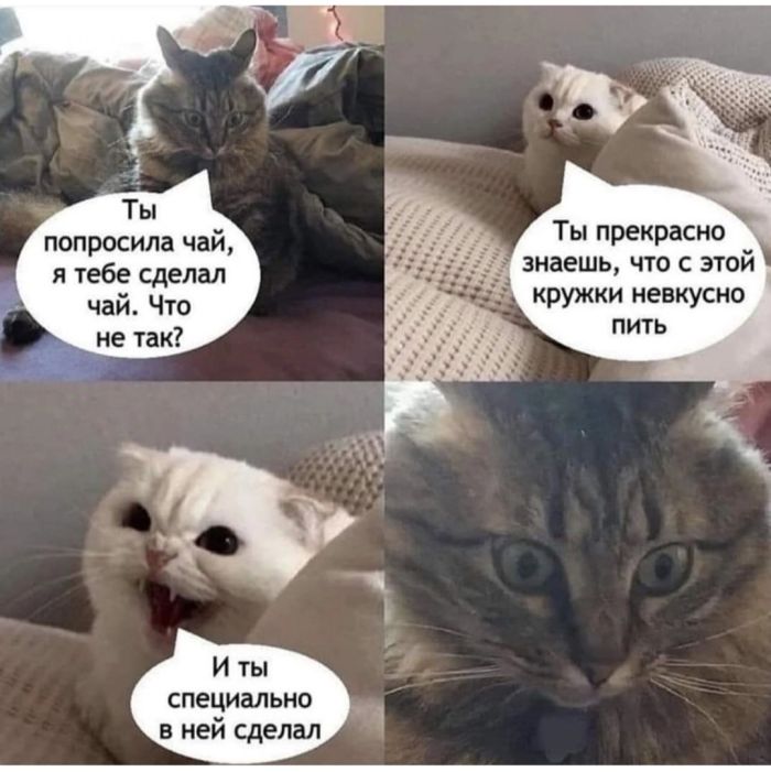 Смешной прикол