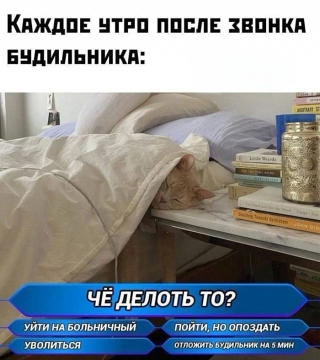 Смешные картинки с надписями