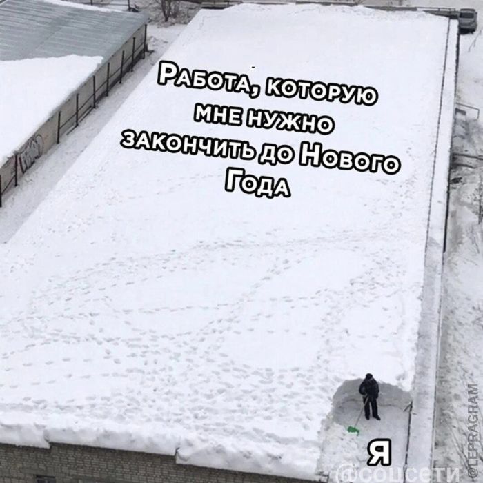 Мемы