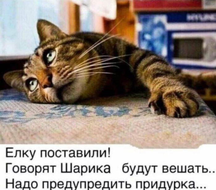 Мемы