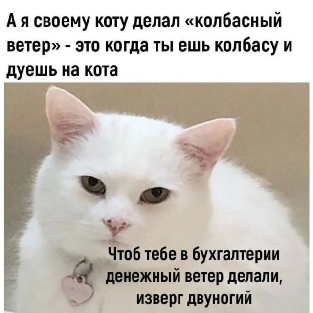 Приколы