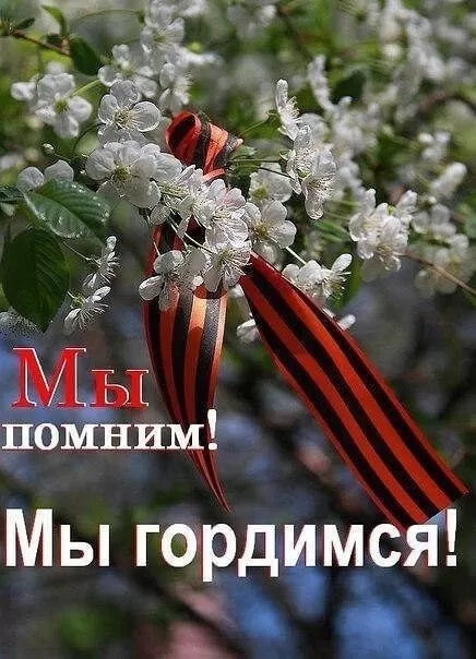 Картинки на 9 мая