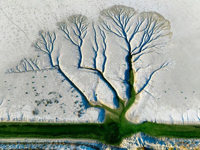 Отборный юмор