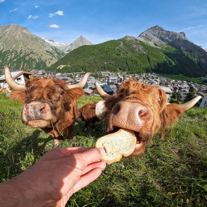 Отборный юмор