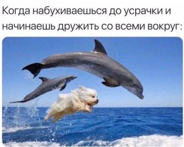 Мемы