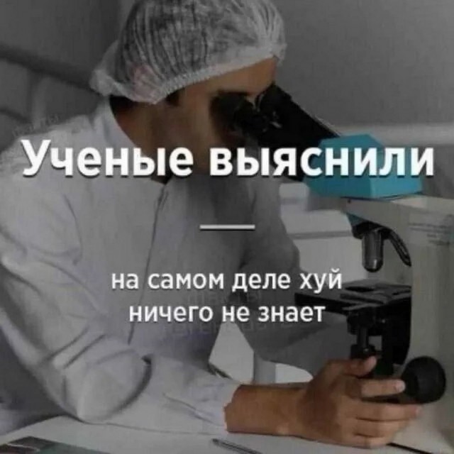 Приколы
