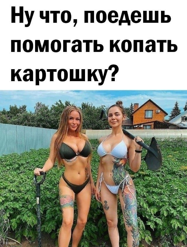 Приколы и юмор