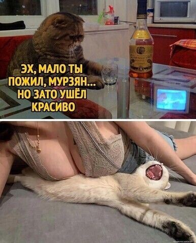 Смешной прикол