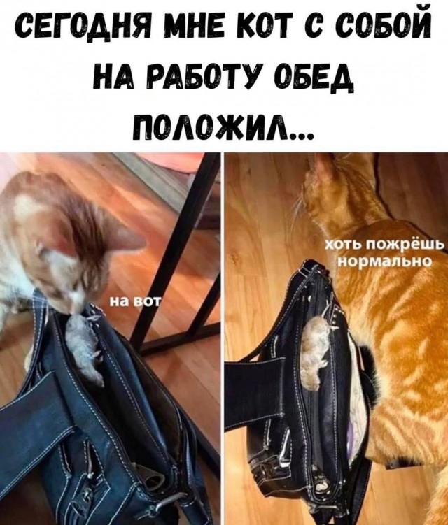 Приколы