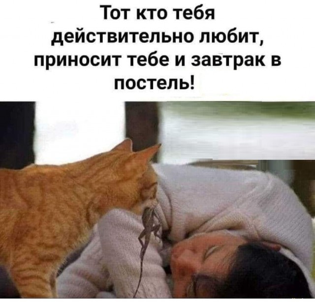 Смешной прикол