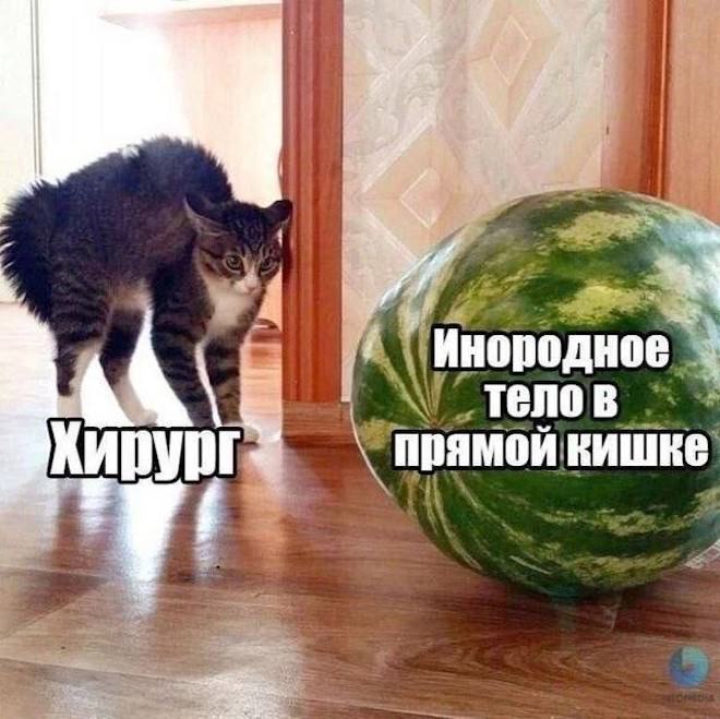 Отборный юмор