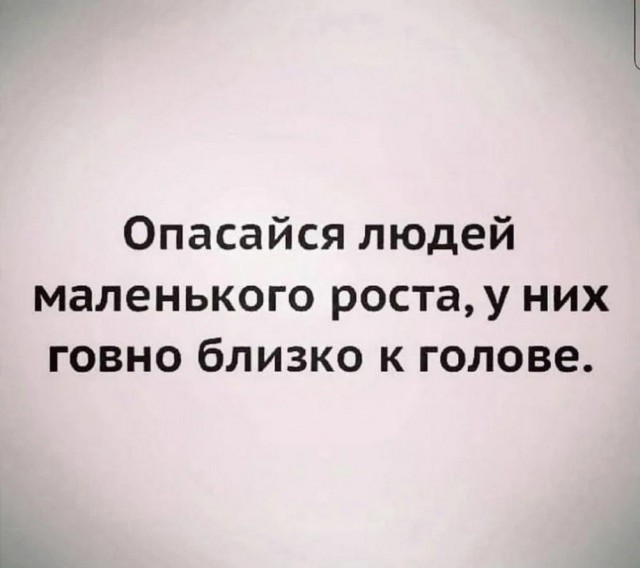 Смешные картинки с надписями