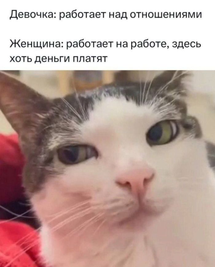 Мемы