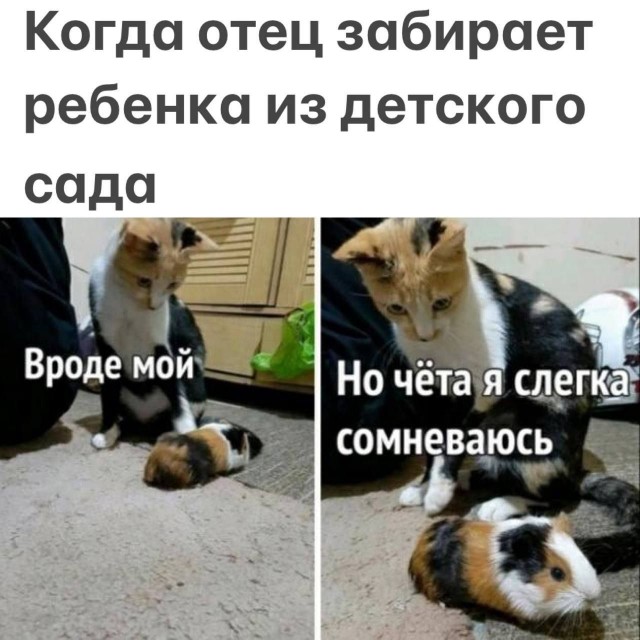 Отборные мемы и смешные картинки с надписями (53 фото) - До слёз