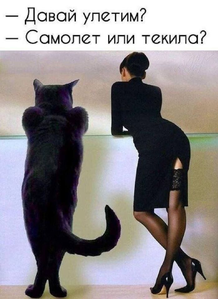 Мемы