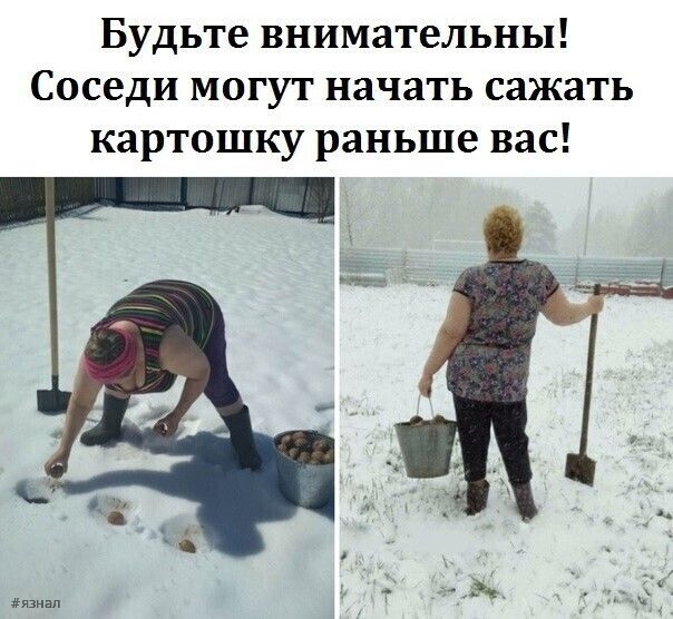 Приколы и юмор