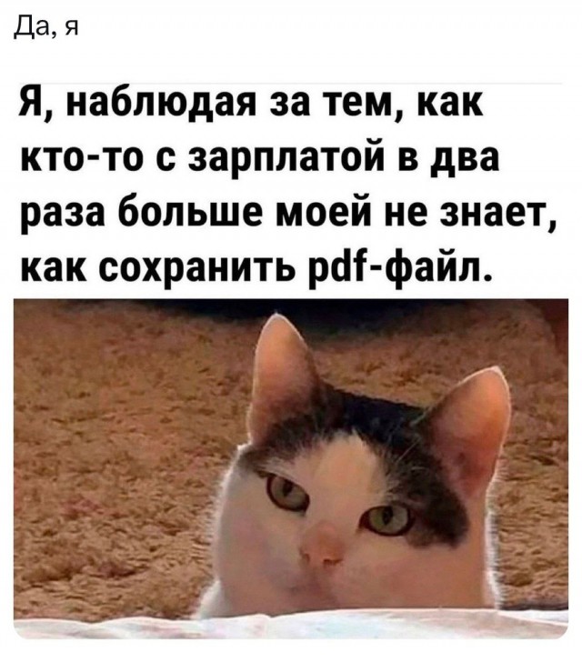 Смешные картинки с надписями