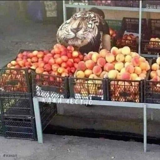 Приколы и юмор