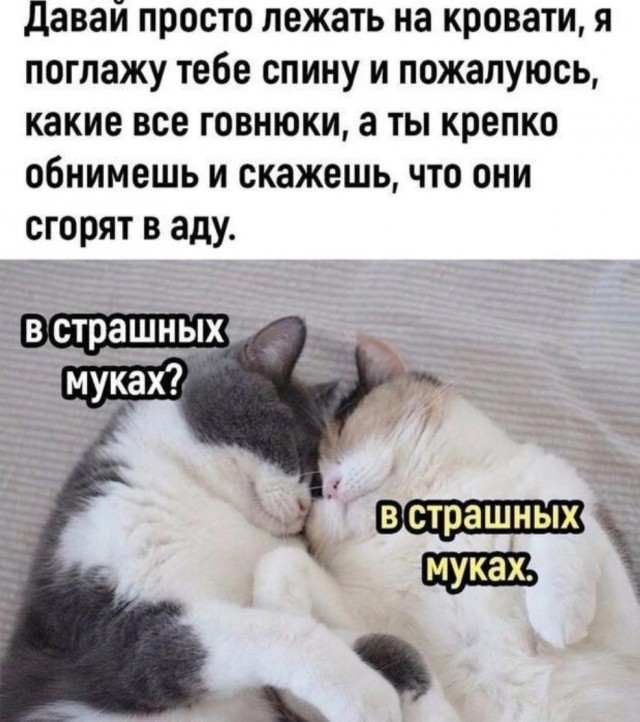 Приколы