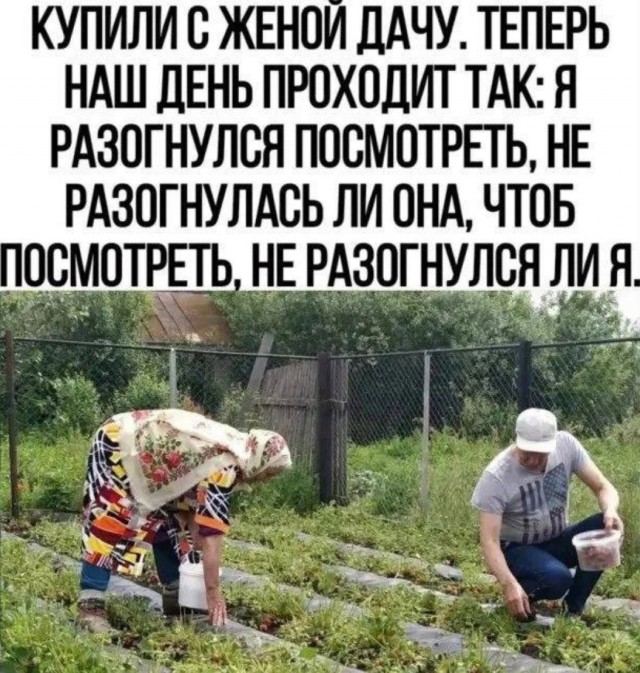 Приколы