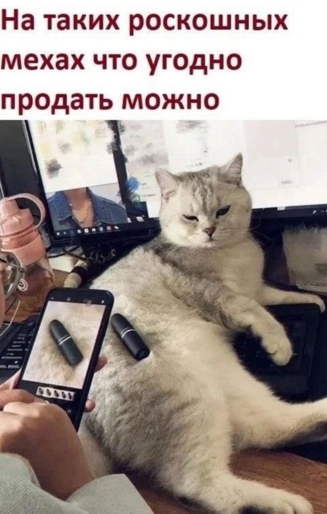 Смешные картинки с надписями