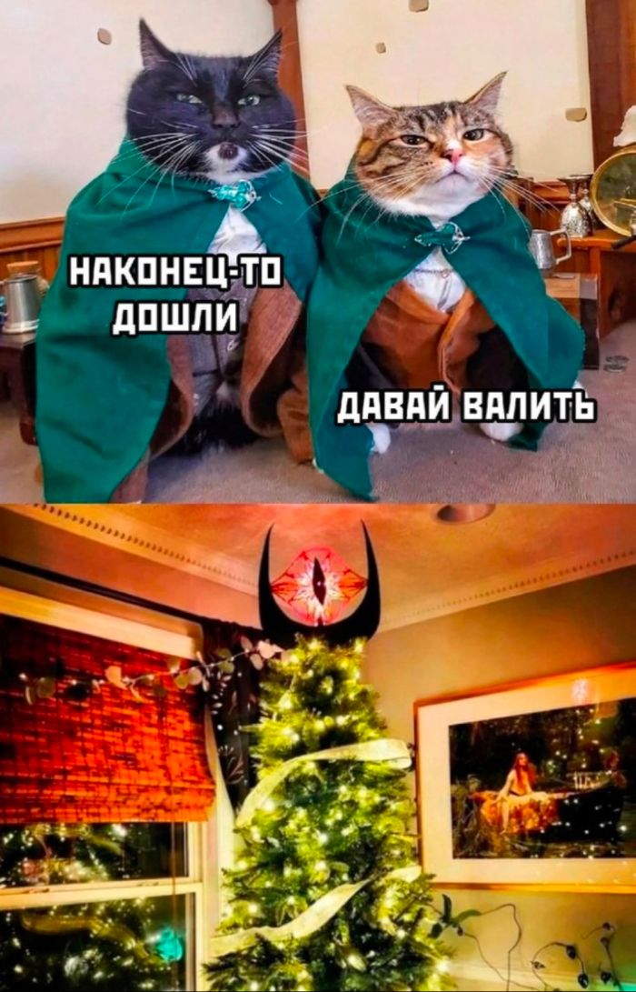 Мемы