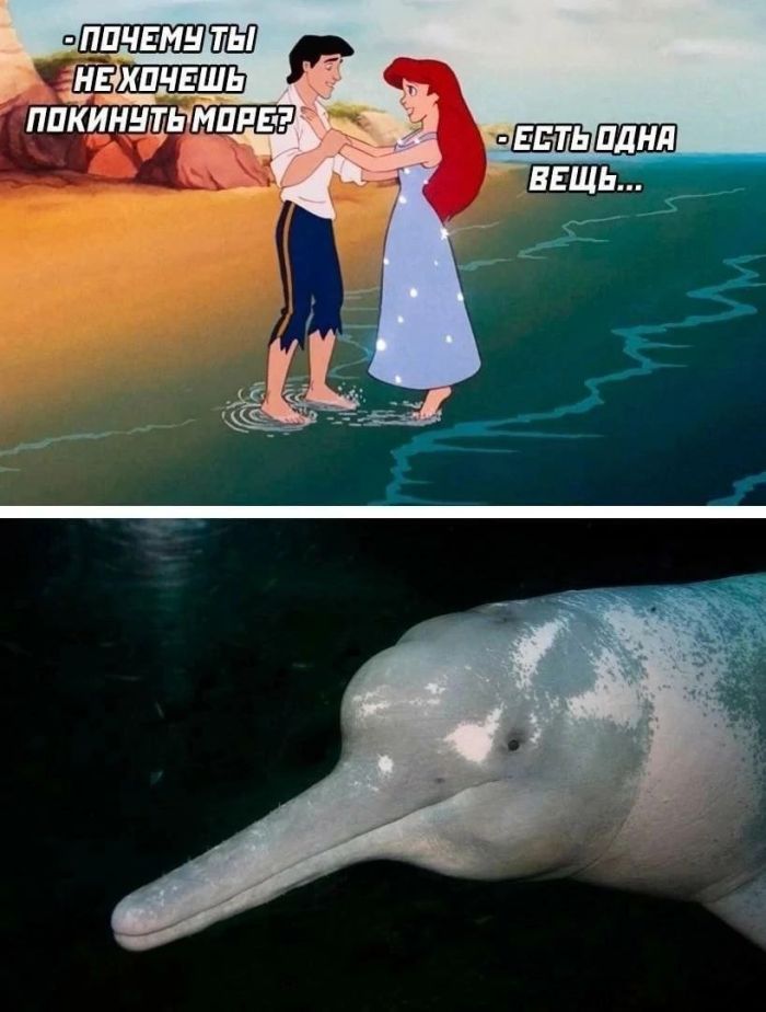 Пошлый юмор