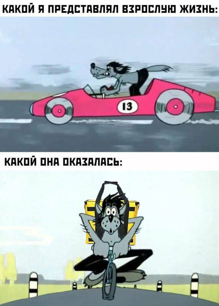 Смешные картинки с надписями