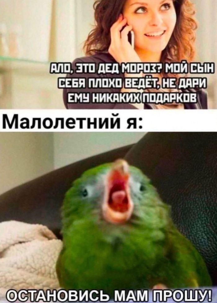 Мемы